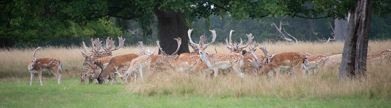 Ortezy na rękę i nadgarstek (WHO) w spastyczności kończyny górnej - zdjęcie ilustracyjne